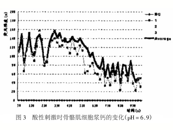 酸性刺激對大鼠骨骼肌細(xì)胞胞漿Ca2+的影