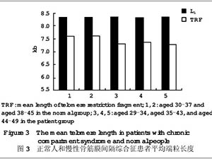 端粒長(zhǎng)度與腰骶部慢性骨筋膜間隔綜合征